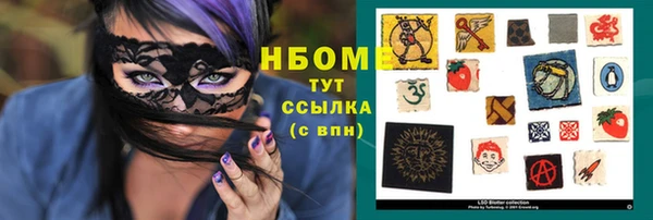 индика Лабытнанги