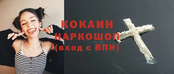 индика Лабытнанги