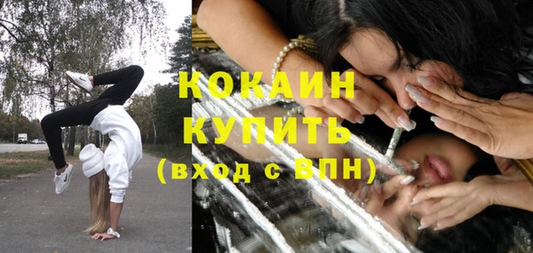 индика Лабытнанги
