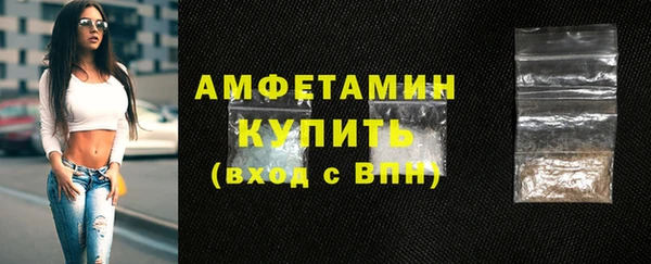 индика Лабытнанги
