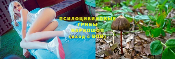 альфа пвп Магас