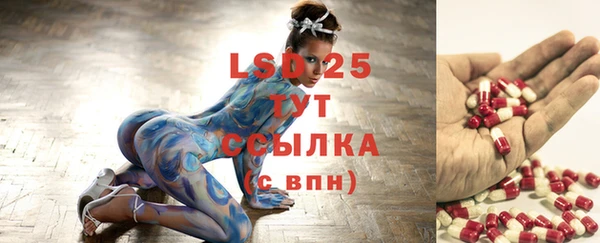 индика Лабытнанги