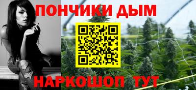 индика Жуковский