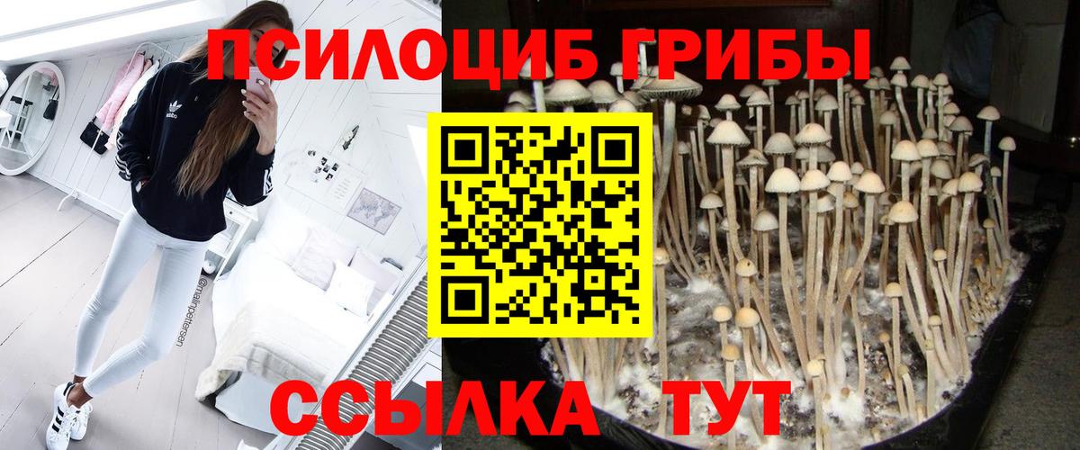 Галлюциногенные грибы Psilocybine cubensis  Вход с VPN  Мелеуз 