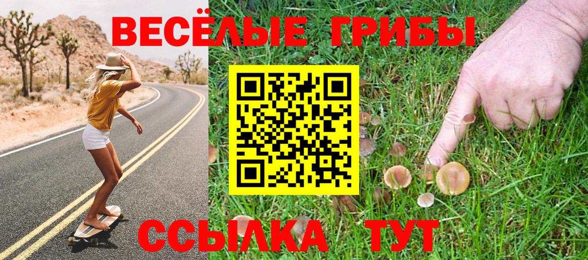 Галлюциногенные грибы ЛСД Мелеуз